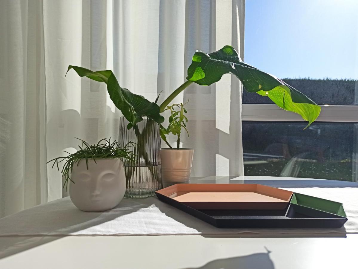 산탄데르 Bajo Con Jardin Privado 아파트 외부 사진