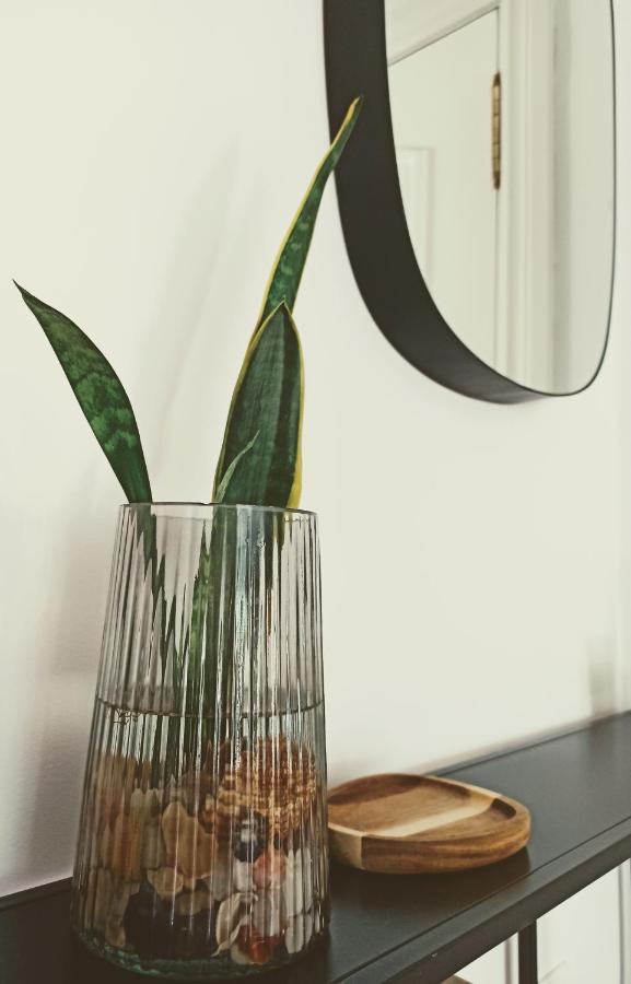 산탄데르 Bajo Con Jardin Privado 아파트 외부 사진